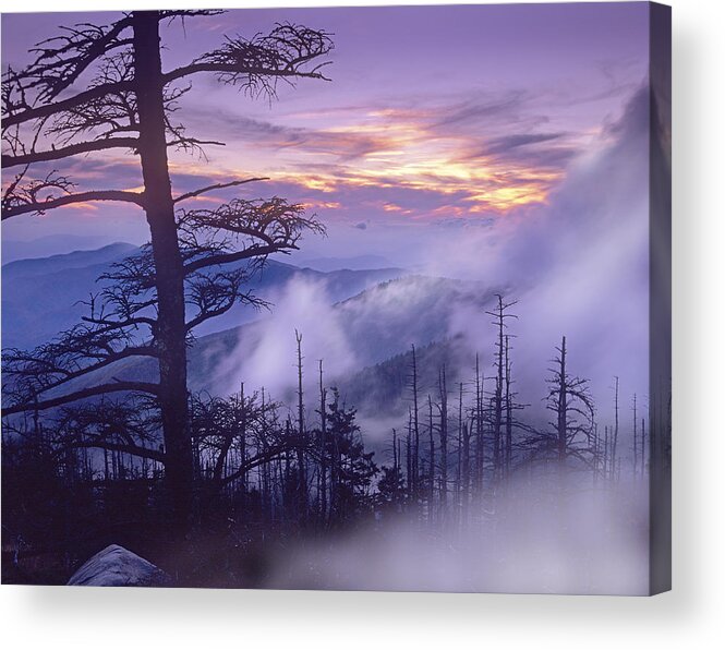 00175732 Acrylic Print featuring the photograph Rolling Fog On Clingmans Dome Great by Tim Fitzharris