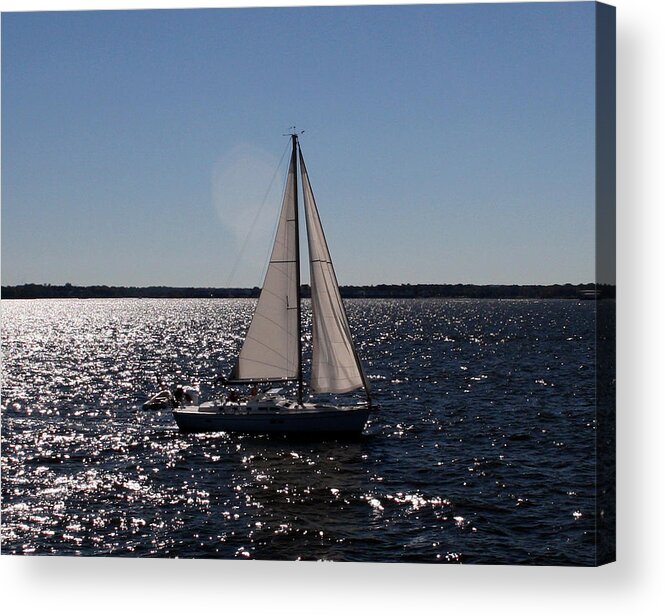 Baltimore Acrylic Print featuring the photograph Sailing on the Bay2 by Karen Harrison Brown