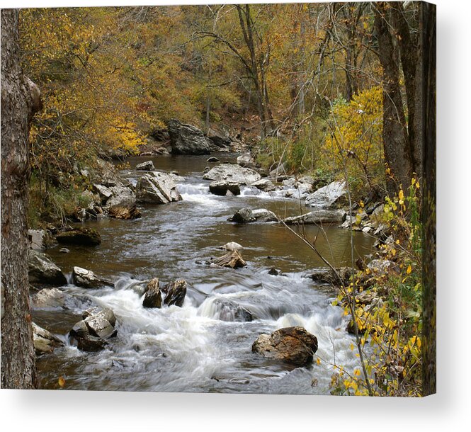 River Acrylic Print featuring the photograph Smoky Mountain Stream by TnBackroadsPhotos