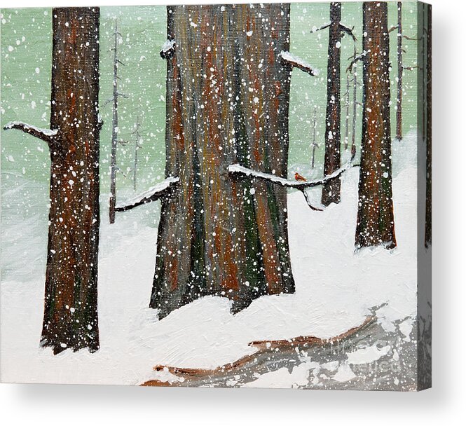 Redwood Acrylic Print featuring the painting Snowy Redwood by L J Oakes