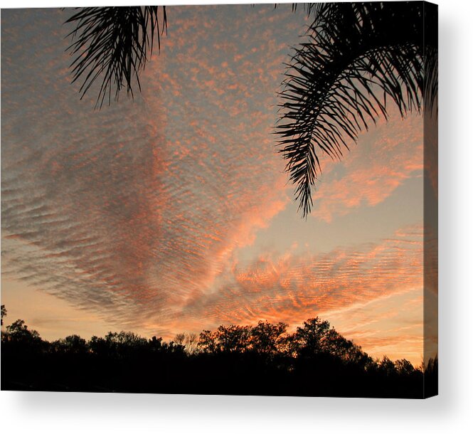 Nature Acrylic Print featuring the photograph Sunset in Lace by Peggy Urban