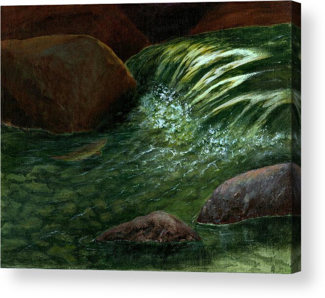 River Acrylic Print featuring the painting The Brookie by Jo Appleby