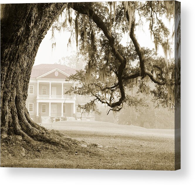 Drayton Hall Acrylic Print featuring the photograph The Guardian Tree by Jan W Faul