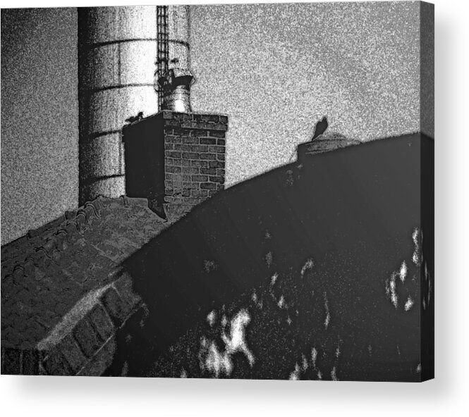 Abstract Acrylic Print featuring the photograph Urban Architecture with Pigeons by Lenore Senior