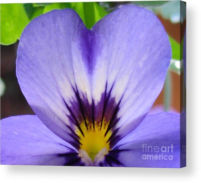 Flower Acrylic Print featuring the photograph Wellness Photography by Holy Hands