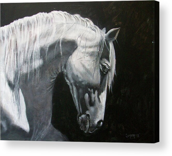 Horses Head White Horse Close Up Of Horse Head Acrylic Print featuring the painting White on Black by Tom Smith