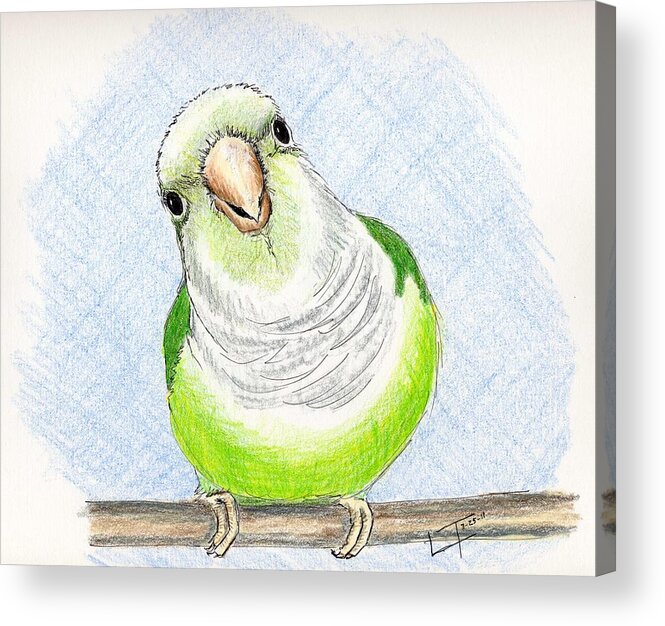 Bird Acrylic Print featuring the painting Who Me by Laurilee Taylor