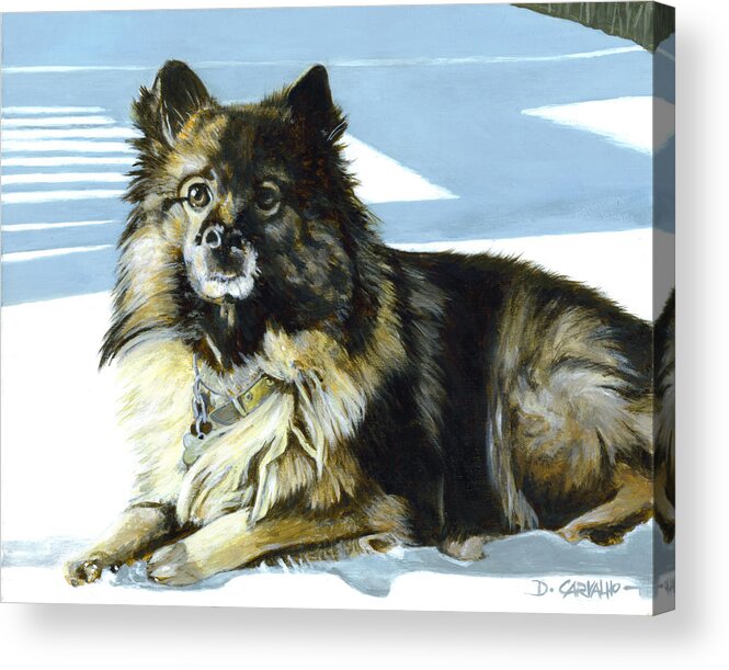 Dogs Acrylic Print featuring the painting Wickett by Daniel Carvalho