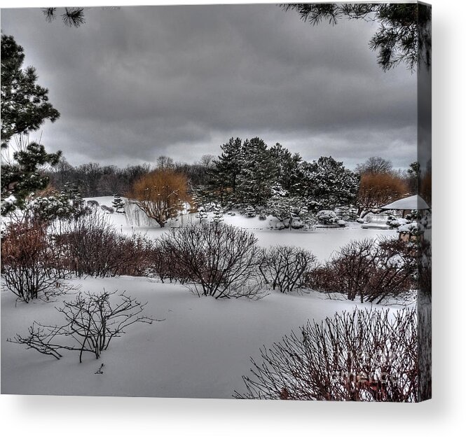 Winter Acrylic Print featuring the photograph WInter in the Botanical Garden by David Bearden