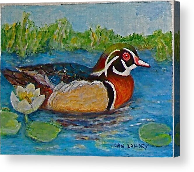 Water Fowl Acrylic Print featuring the painting Wood Duck by Joan Landry