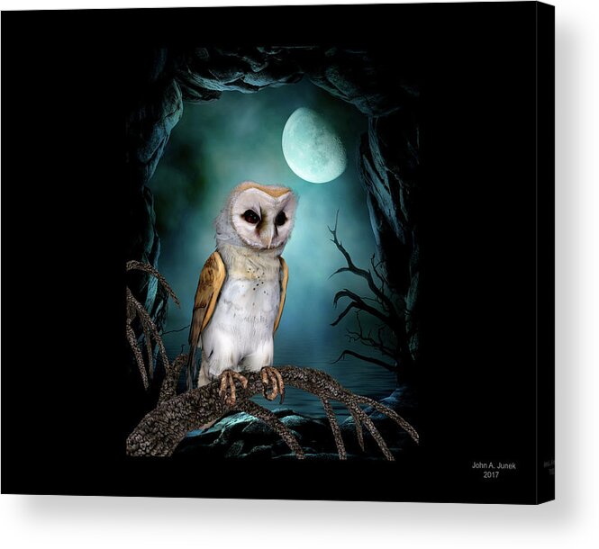 Barn Owl Acrylic Print featuring the digital art Barn Owl #1 by John Junek