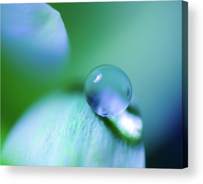 Bokeh Acrylic Print featuring the photograph Dropped #1 by Sandra Parlow