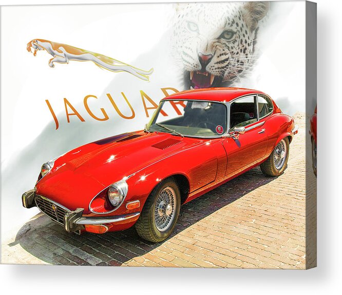 Jaguar Acrylic Print featuring the photograph Jaguar #2 by John Anderson