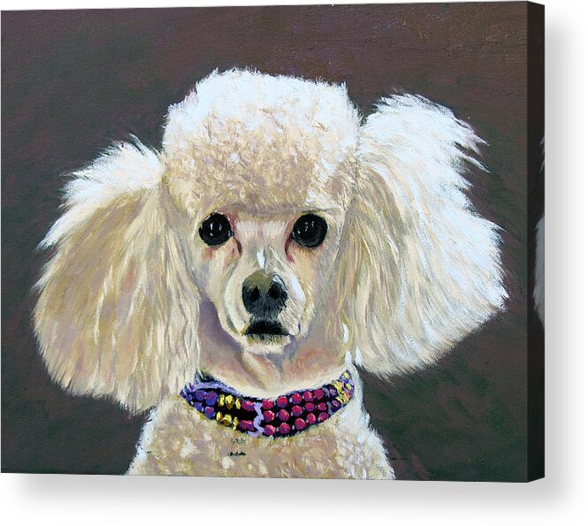 Dog Portrait Acrylic Print featuring the painting Pebbles #1 by Stan Hamilton