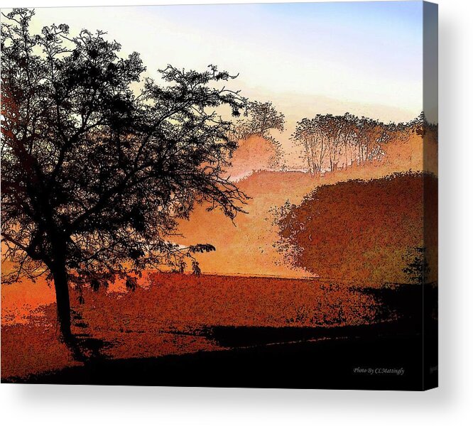 Scenic Acrylic Print featuring the photograph Tree in Morning Light #1 by Coke Mattingly