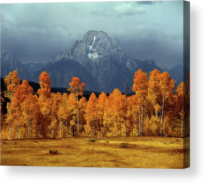 1m9235 Acrylic Print featuring the photograph 1M9235 Mt. Moran in Autumn by Ed Cooper Photography