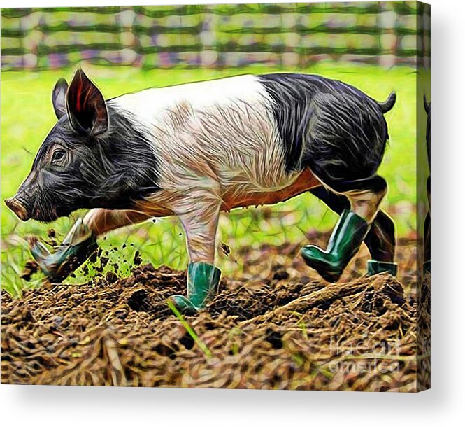 Pig. Pig Art Acrylic Print featuring the mixed media Pig Collection #2 by Marvin Blaine