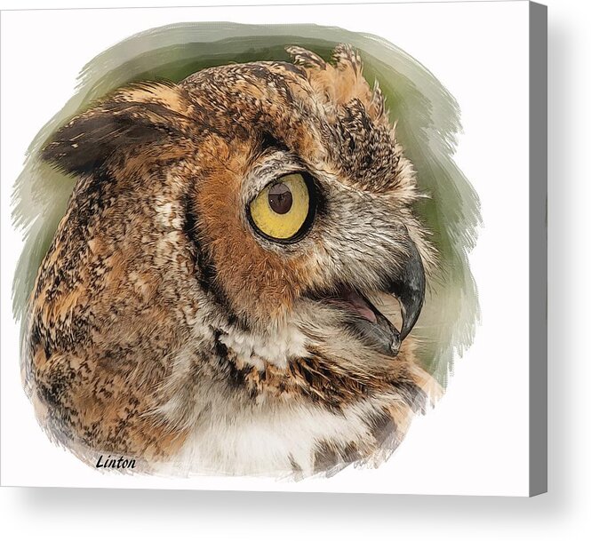 Owl Acrylic Print featuring the digital art Great Horned Owl #5 by Larry Linton
