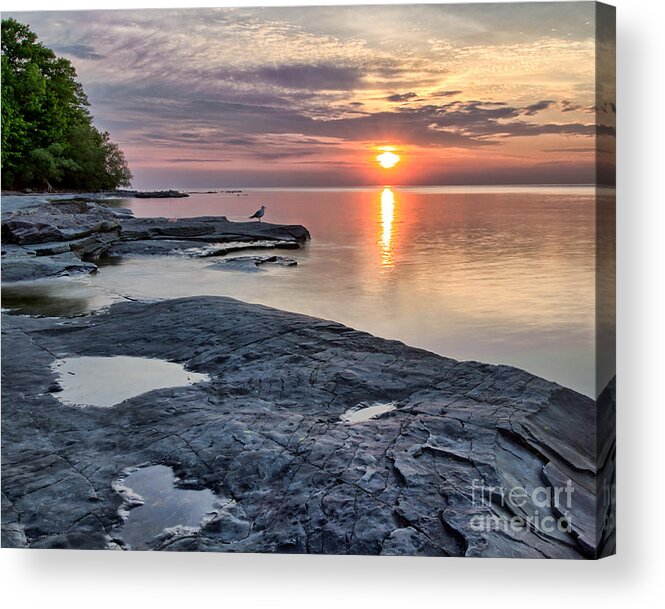 Flat Rock Acrylic Print featuring the photograph A Flat Rock Sunset with Seagull by Rod Best