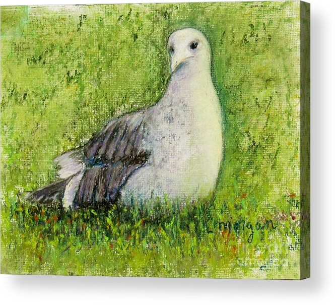 Bird Acrylic Print featuring the painting A Gull On The Grass by Laurie Morgan