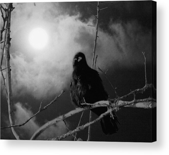 Moon Crow Acrylic Print featuring the mixed media A Moonlicht Nicht by I'ina Van Lawick