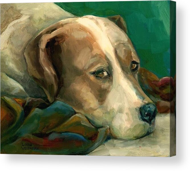 Dog Acrylic Print featuring the painting A Watchful Eye by Linda Vespasian