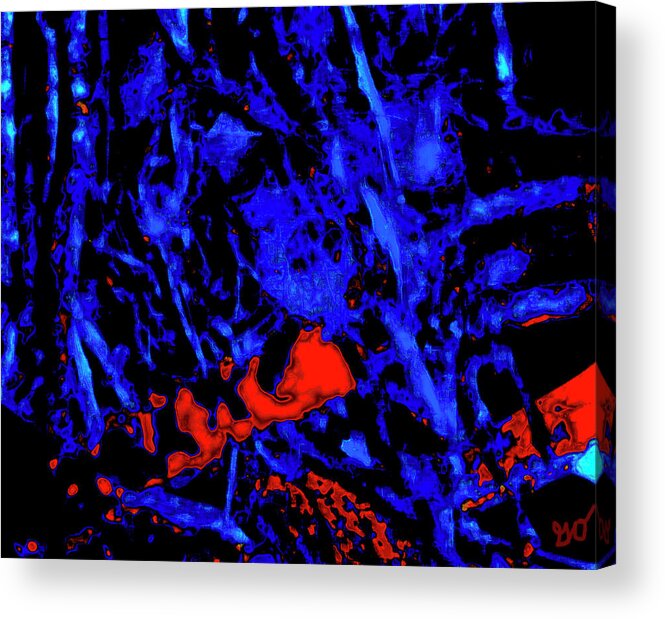 Abstract Acrylic Print featuring the photograph Abstract Bird Nest by Gina O'Brien
