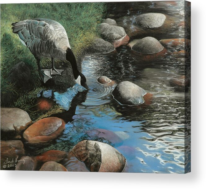 Canadian Geese Acrylic Print featuring the painting Abundance by David Vincenzi