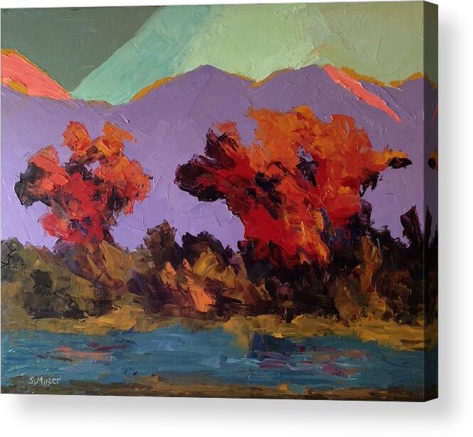Landscape Acrylic Print featuring the painting After the Storm by Sylvia Miller
