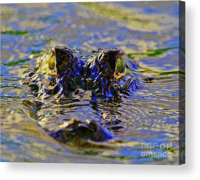 Alligator Acrylic Print featuring the photograph Alligator Green Blue by Luana K Perez