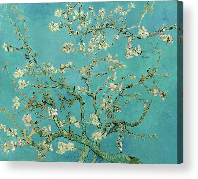 Almond Blossom Acrylic Print featuring the painting Almond Blossom, 1890 by Vincent van Gogh