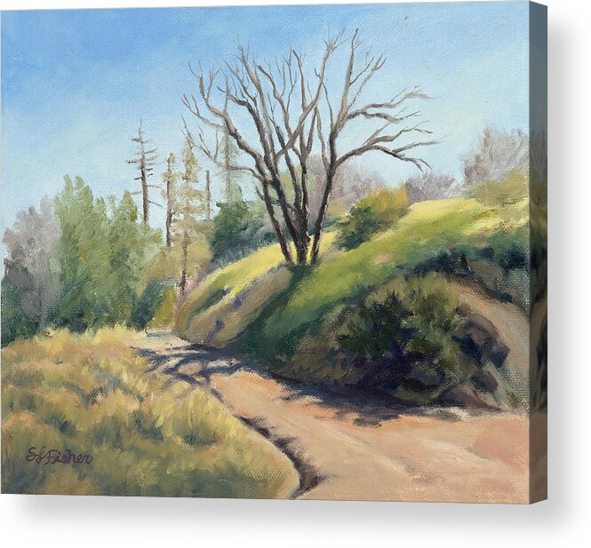 Pacific Crest Trail Acrylic Print featuring the painting Along the Pacific Crest Trail by Sandy Fisher