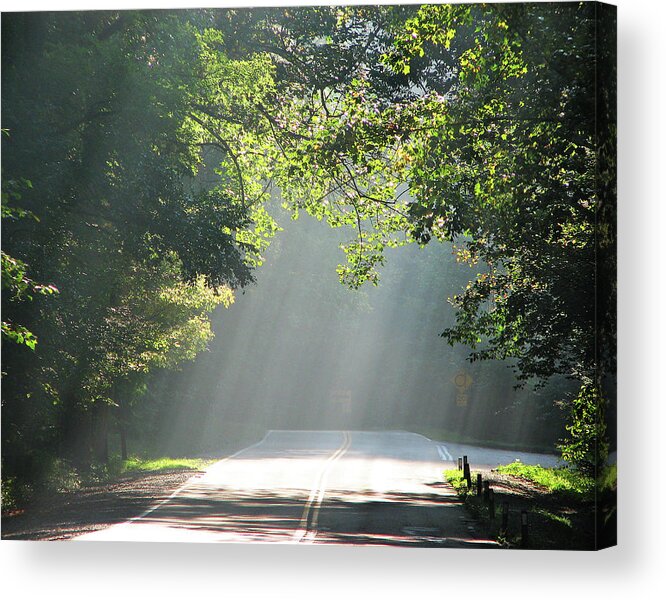 Road Acrylic Print featuring the photograph Along the Road of Life by Ted Keller