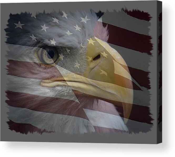 Eagle And Flag Acrylic Print featuring the photograph American Pride 3 by Ernest Echols
