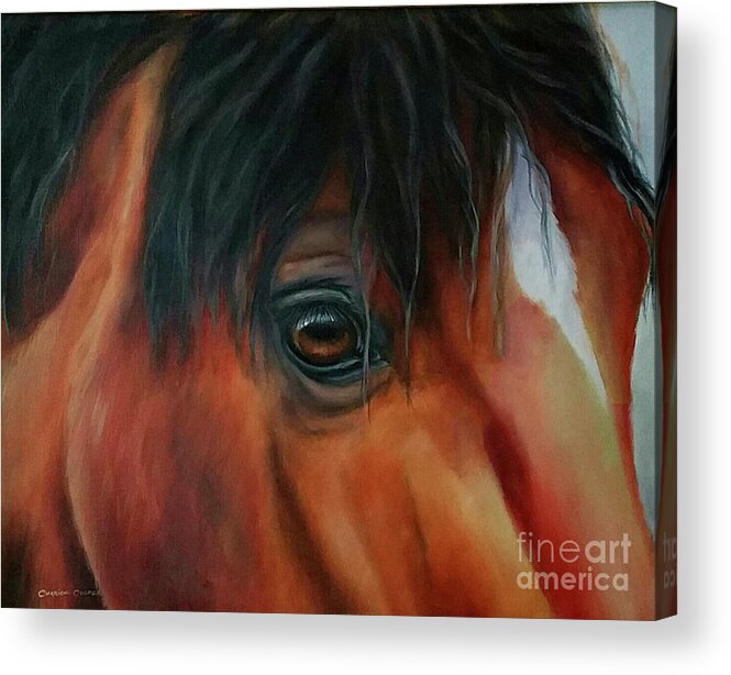 Animal Art Acrylic Print featuring the painting An Eye For Beauty by Charice Cooper