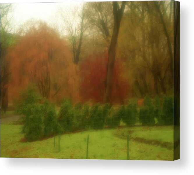 Orange Acrylic Print featuring the photograph Autumn in Brandywine Park by Emery Graham