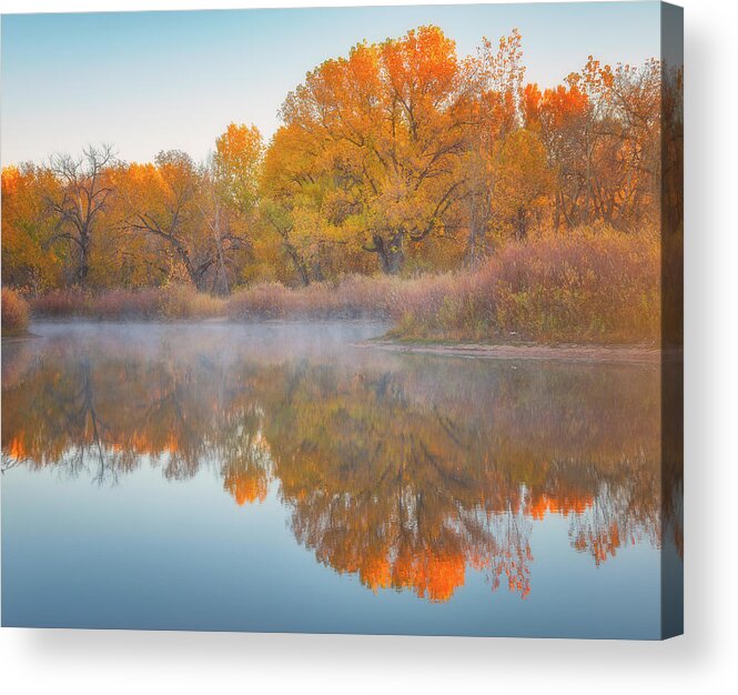 Reflections Acrylic Print featuring the photograph Autumn Reflections by Darren White