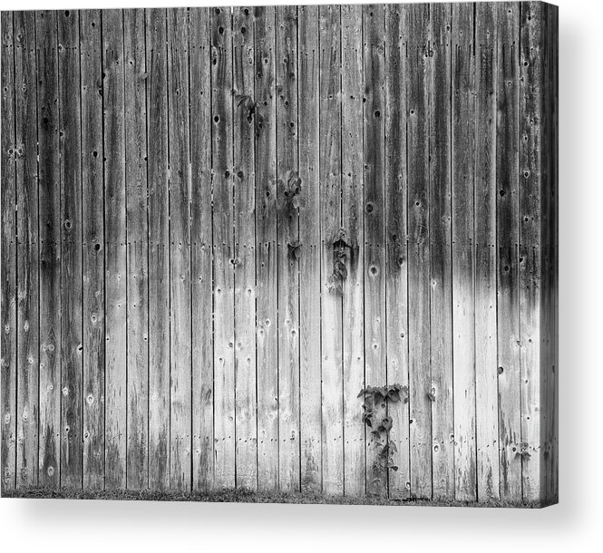 Fence Acrylic Print featuring the photograph Backyard Fence by Hugh Smith