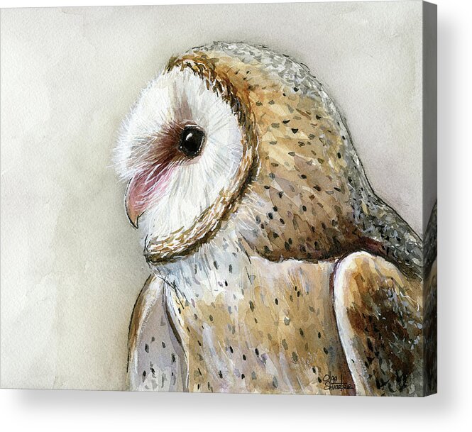 Owl Acrylic Print featuring the painting Barn Owl Watercolor by Olga Shvartsur