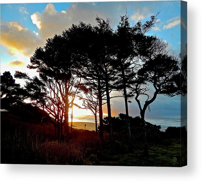 Trees Acrylic Print featuring the photograph Beach Trees Sunset by Gary Olsen-Hasek