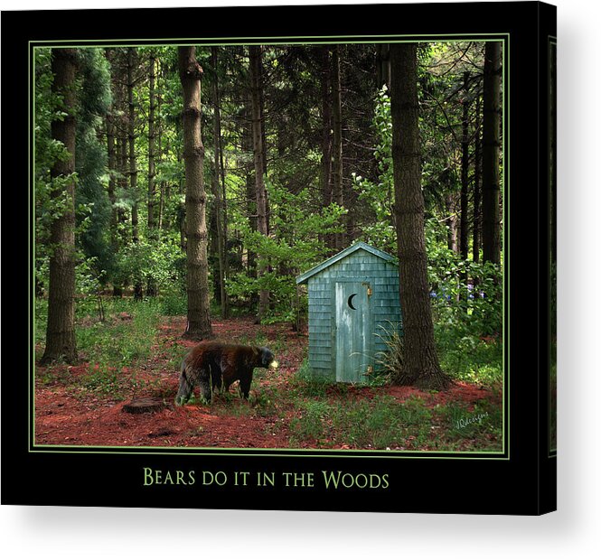 Bear Acrylic Print featuring the photograph Bears Do It by Judi Quelland