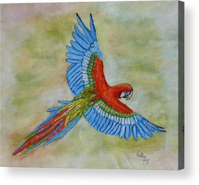 Parrot Acrylic Print featuring the painting Beauty in the Sky ... Parrot by Kelly Mills