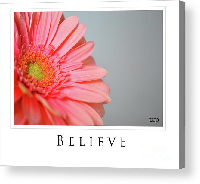 Gerber Acrylic Print featuring the photograph Believe by Traci Cottingham