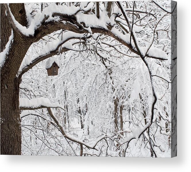 Birdhouse Acrylic Print featuring the photograph Bird House in Snow by R Allen Swezey