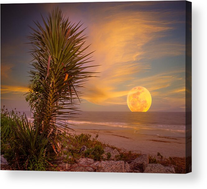 Landscape Acrylic Print featuring the photograph Blue Moon Rising on St. Simons by Chris Bordeleau