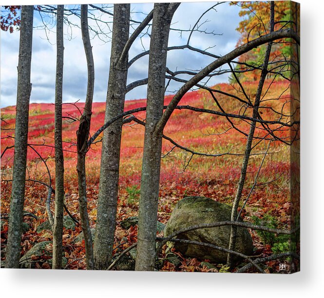 Blueberry Field Acrylic Print featuring the photograph Blueberry Field Through the Wall - cropped by John Meader