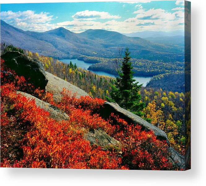 Adirondack Mt. Landscape Acrylic Print featuring the photograph Blueberry Hill by Frank Houck