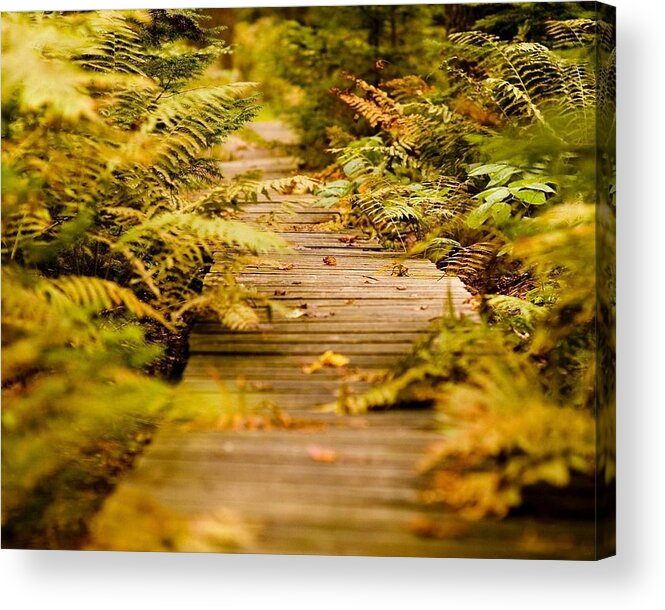 Boardwalk Acrylic Print featuring the photograph Boardwalk by Jackie Russo