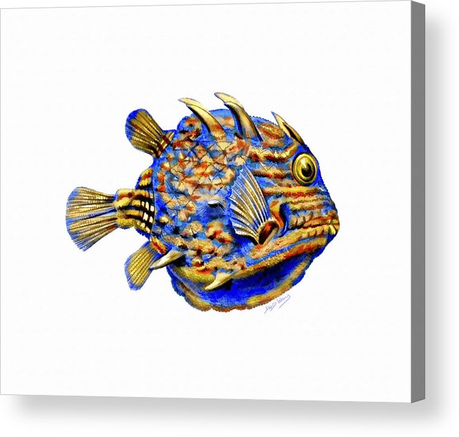 Boxfish Acrylic Print featuring the painting Boxfish II by David Wagner