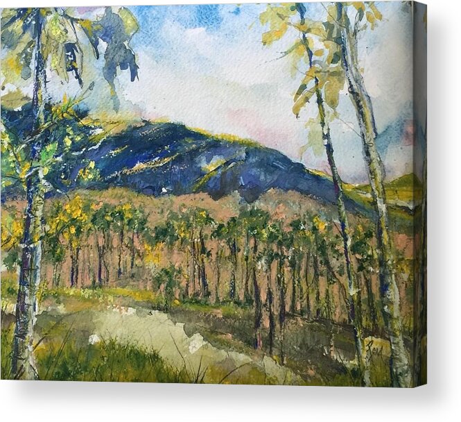 Mountains Acrylic Print featuring the painting Brazilian Blessings -The Pantanal by Robin Miller-Bookhout